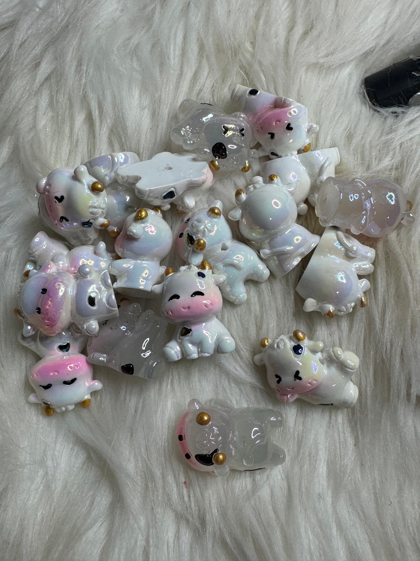 Cow focal
