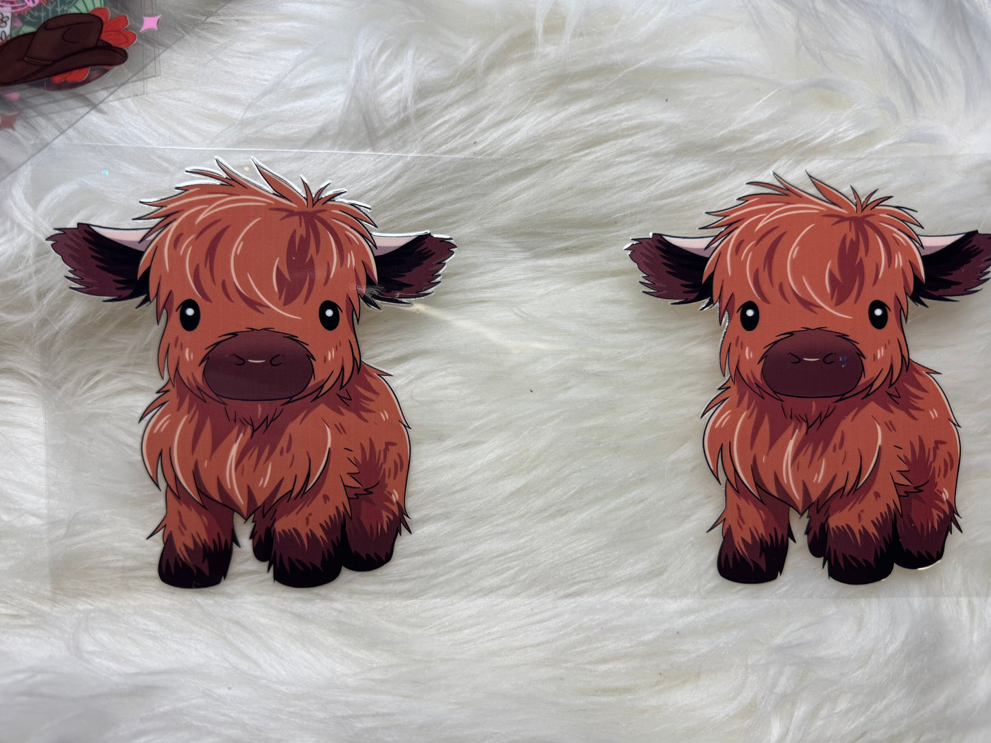 Cow uvdtf
