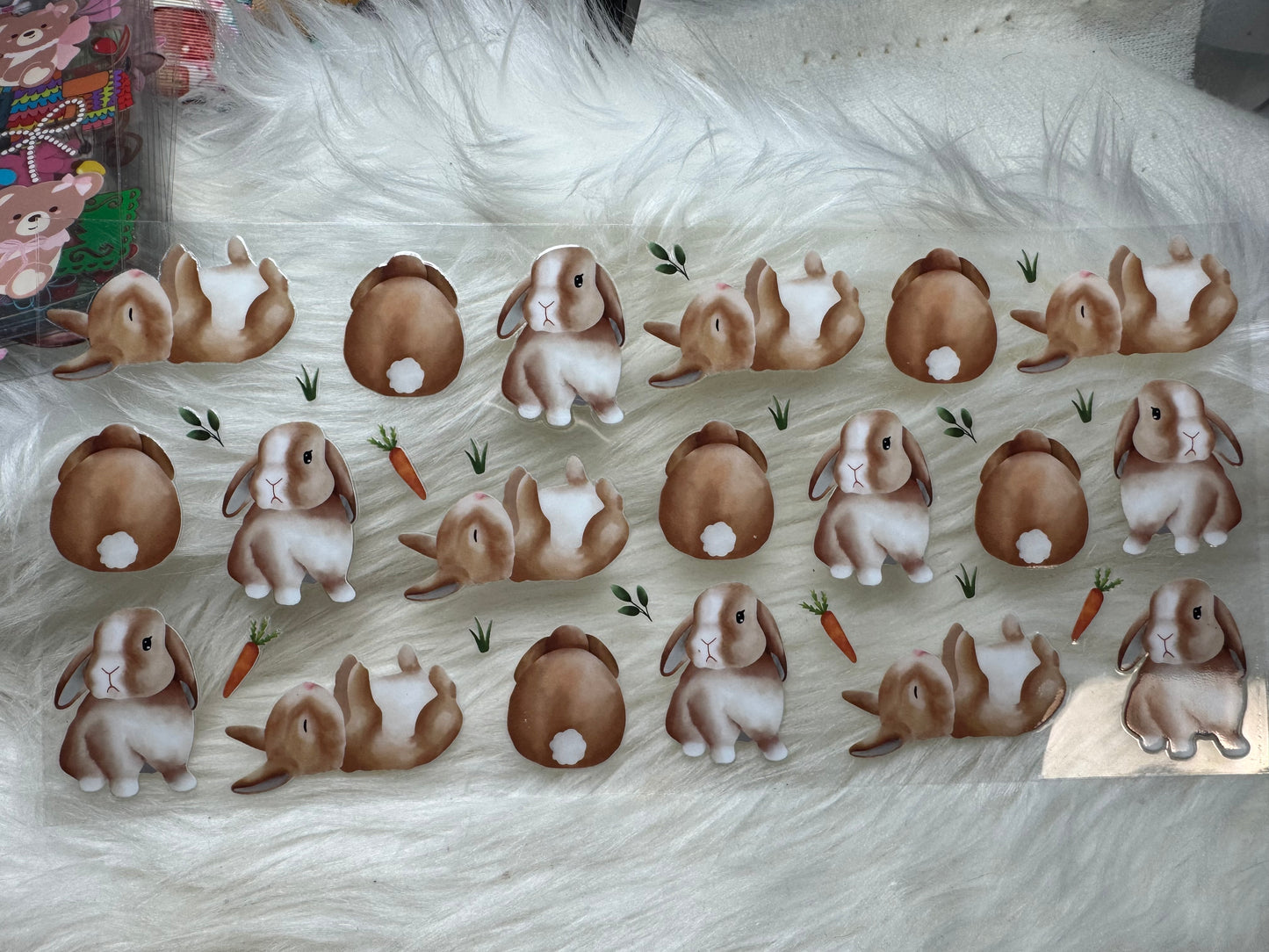 Bunny uvdtf